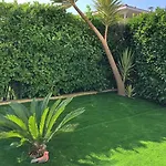 Les Eucalyptus Dans Domaine Privé à *