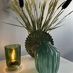 Les Eucalyptus Dans Domaine Privé à *