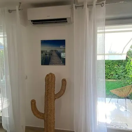 Les Eucalyptus Dans Domaine Privé à * Cannes