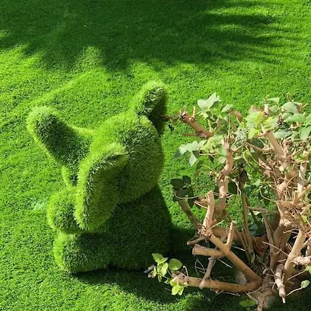 Les Eucalyptus Dans Domaine Privé à