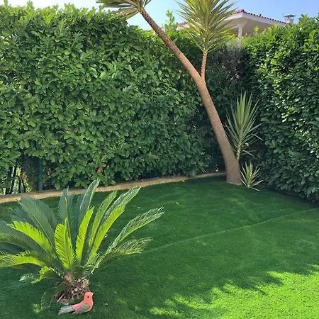 Les Eucalyptus Dans Domaine Privé à *