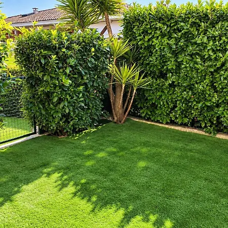 Les Eucalyptus Dans Domaine Prive A * Cannes