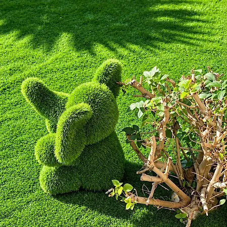 Les Eucalyptus Dans Domaine Prive A Daire Cannes