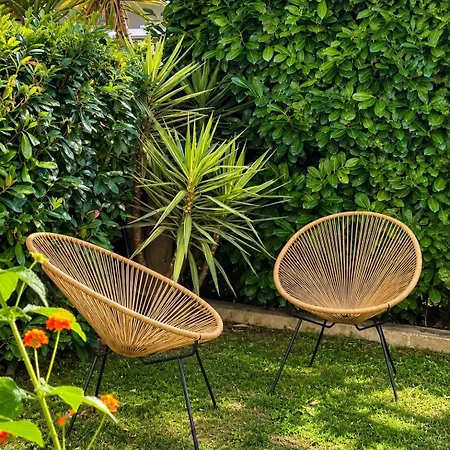 Les Eucalyptus Dans Domaine Prive A Cannes