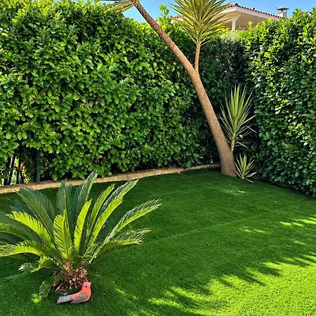 Les Eucalyptus Dans Domaine Prive A Apartment Cannes